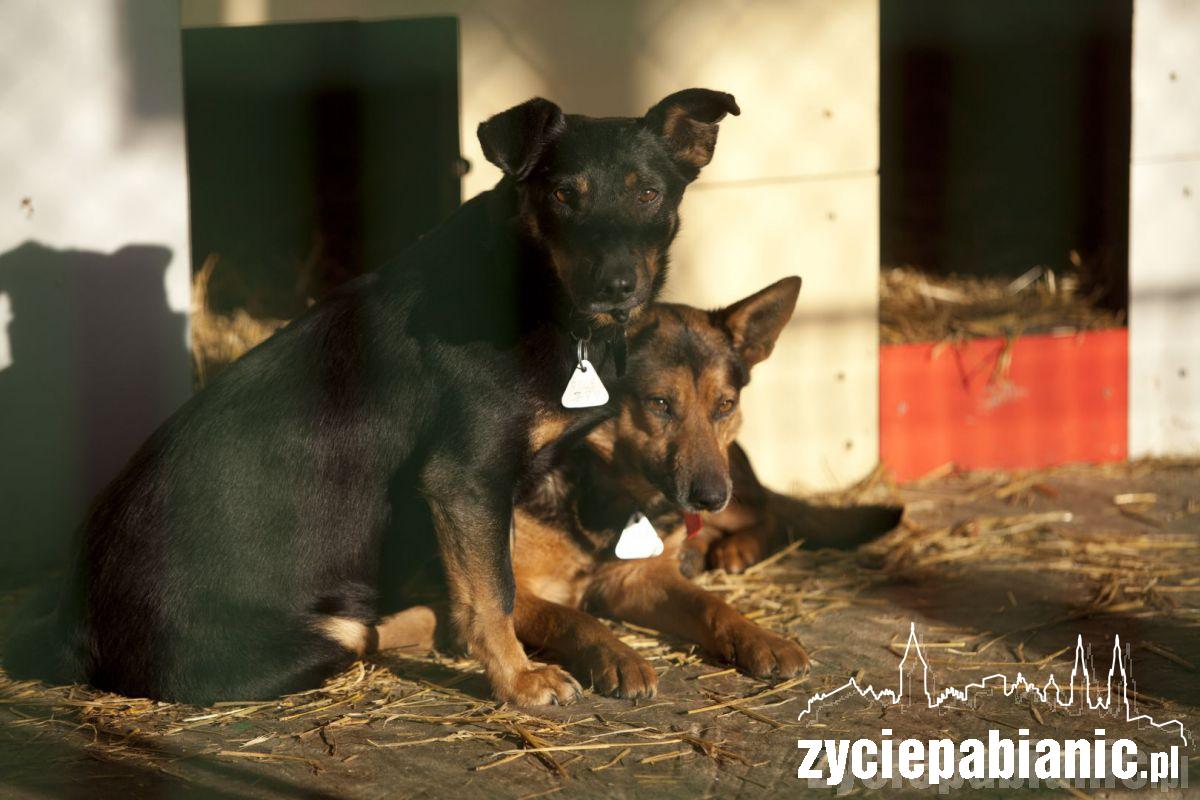 Czy te oczy mogą kłamać?