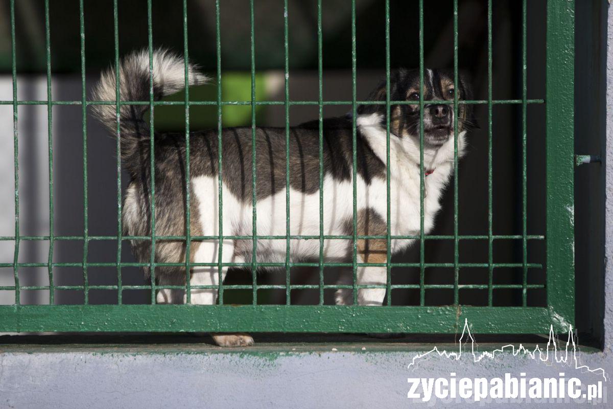 Czy te oczy mogą kłamać?
