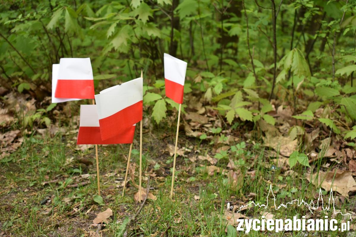 Święto Flagi po pabianicku