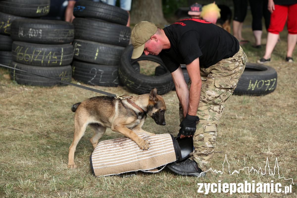 Tak świętujemy Dni Pabianic