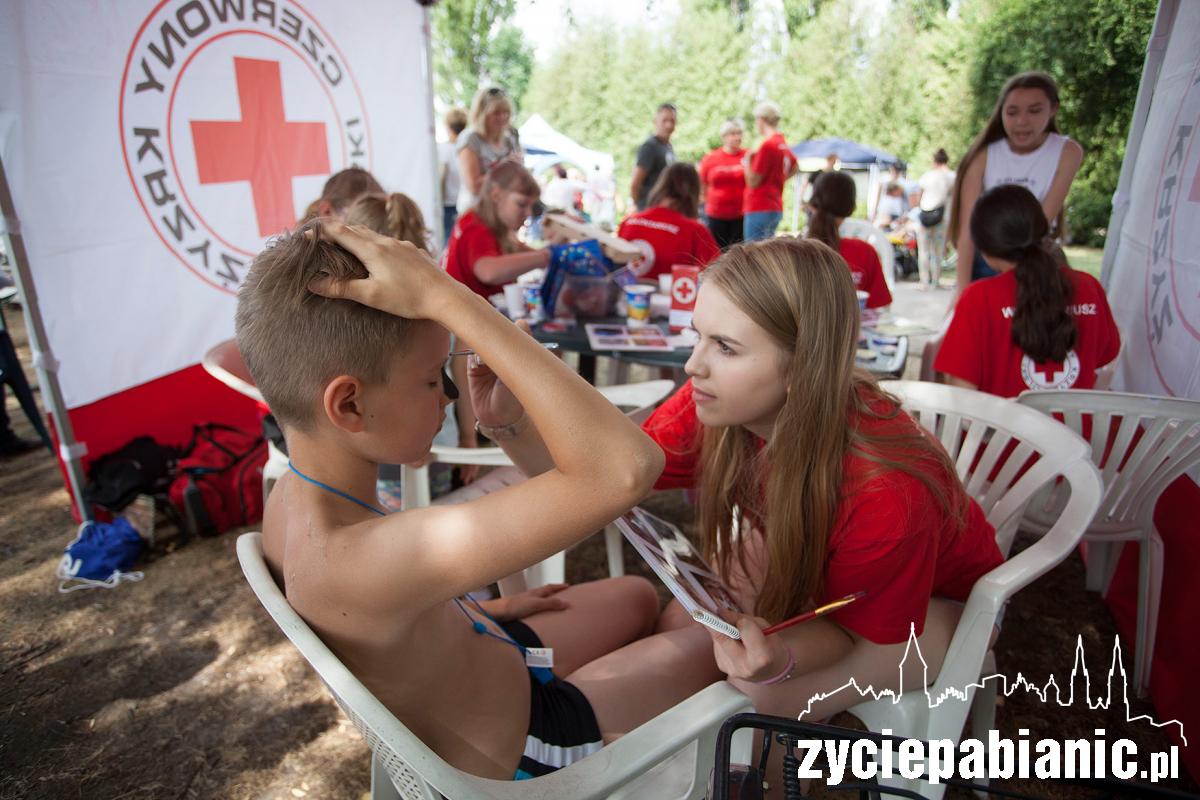 Piknik Europejski zorganizowany przez KOD
