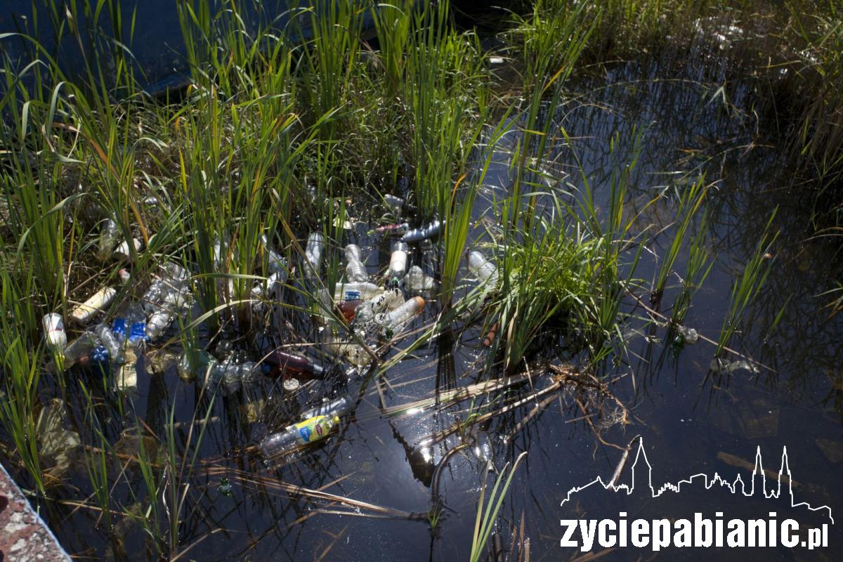 Na tym basenie pabianiczanie spędzali upalne dni
