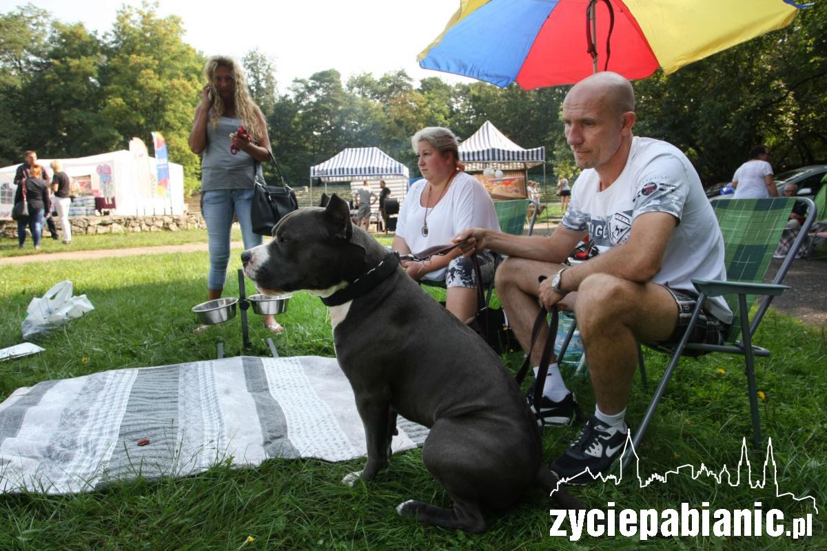 Rasowe psy zaprezentowały się w parku Wolności
