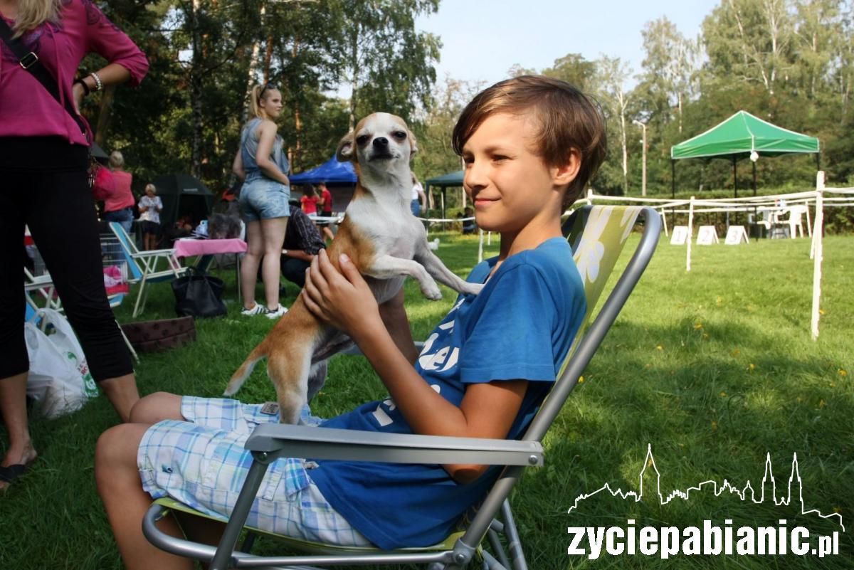 Rasowe psy zaprezentowały się w parku Wolności