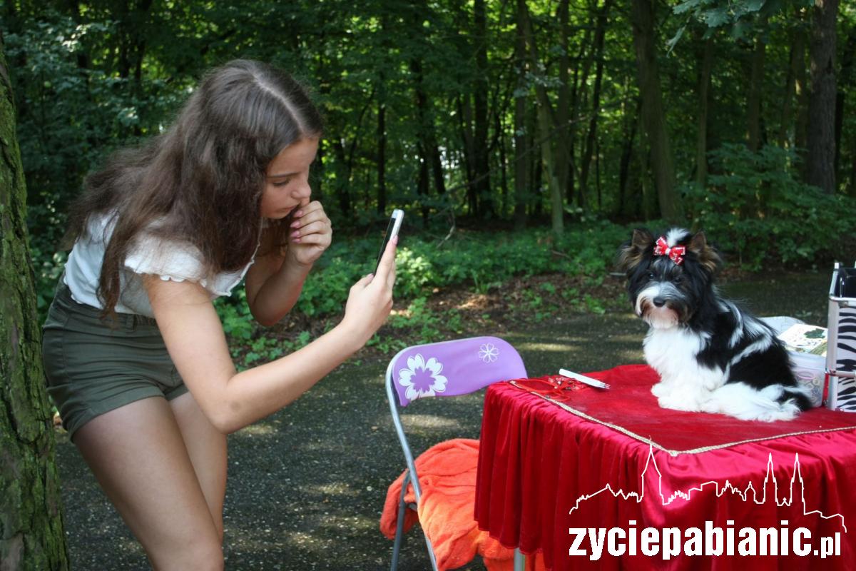 Rasowe psy zaprezentowały się w parku Wolności