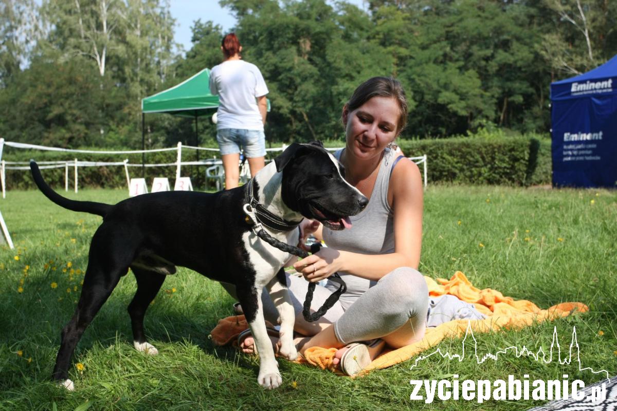 Rasowe psy zaprezentowały się w parku Wolności