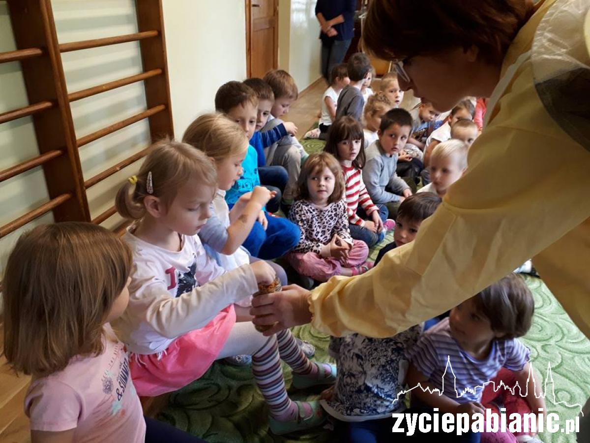 Nie tylko misie lubią miodzik