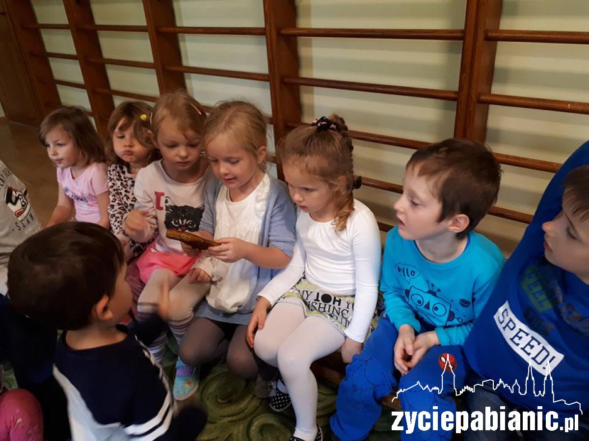 Nie tylko misie lubią miodzik