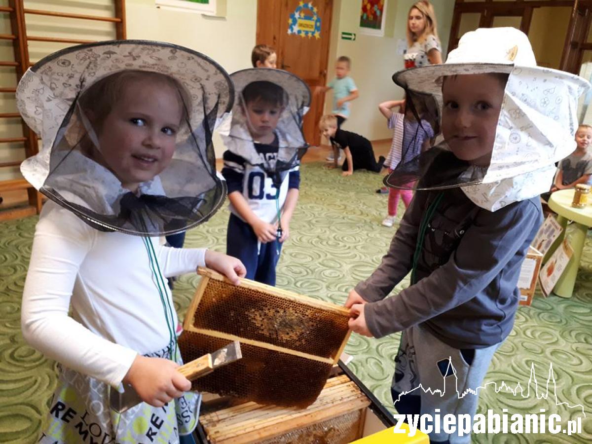 Nie tylko misie lubią miodzik