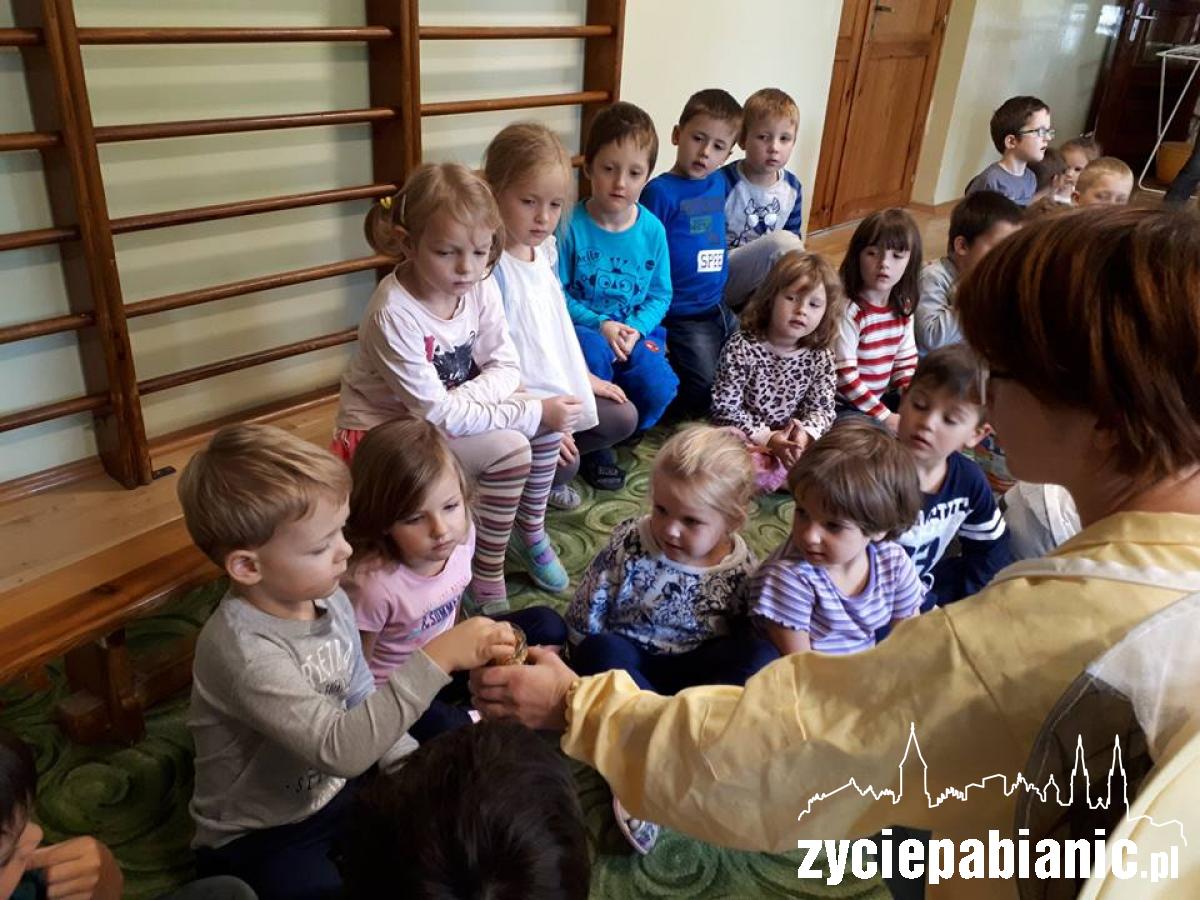 Nie tylko misie lubią miodzik