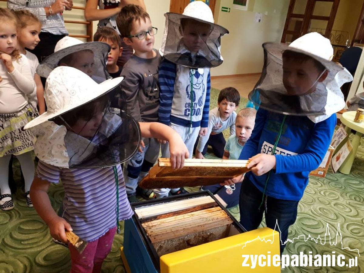 Nie tylko misie lubią miodzik