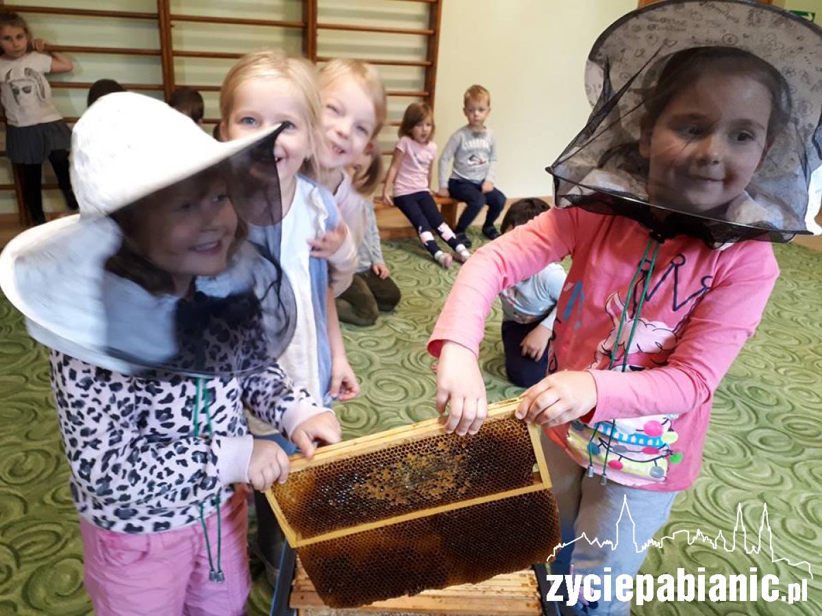 Nie tylko misie lubią miodzik