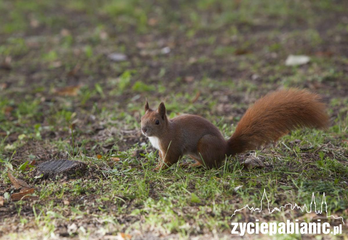 Wszystkich Świętych 2018
