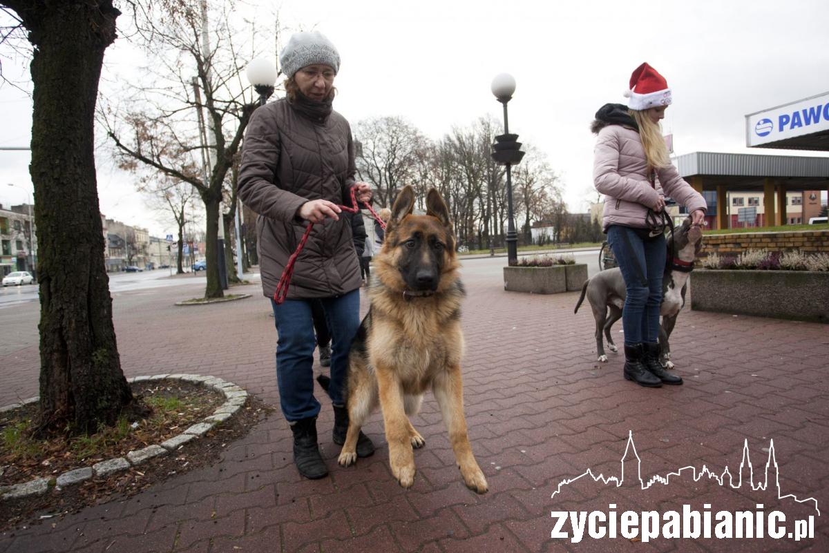 Mikołajkowy spacer po mieście