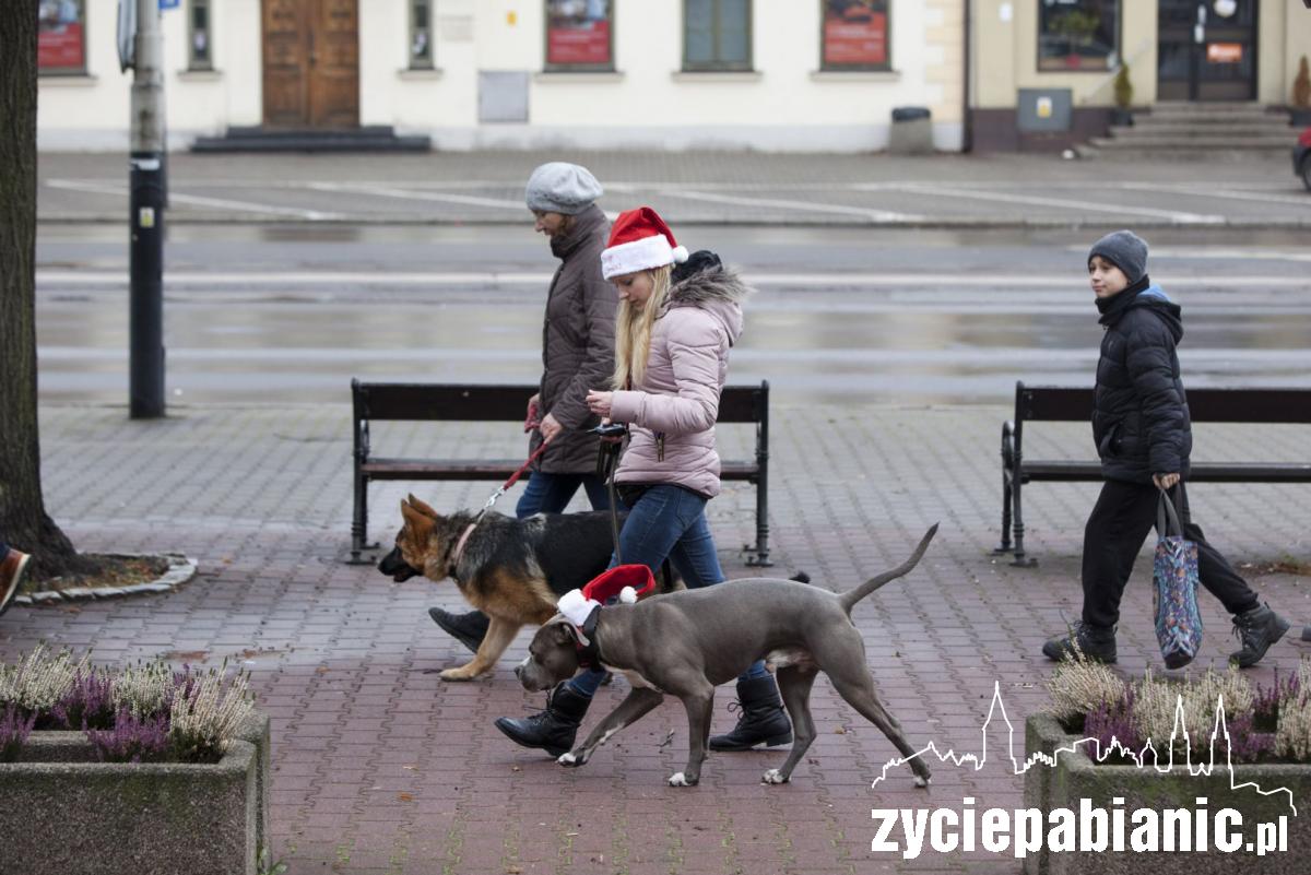 Mikołajkowy spacer po mieście