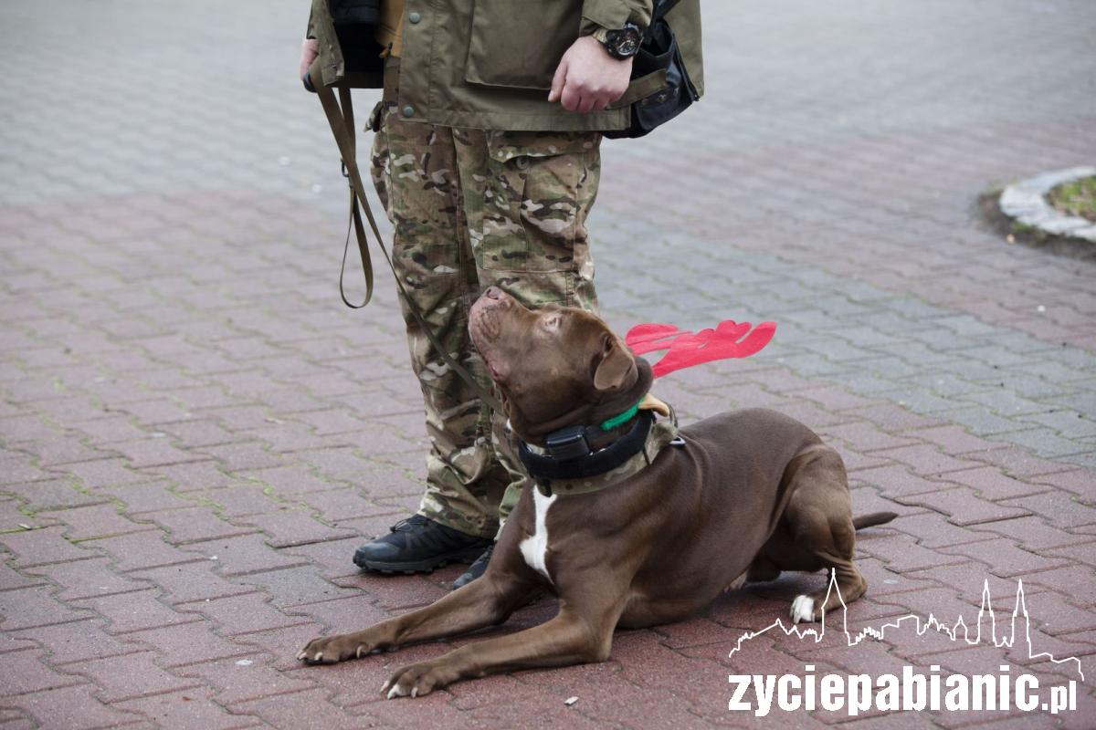 Mikołajkowy spacer po mieście