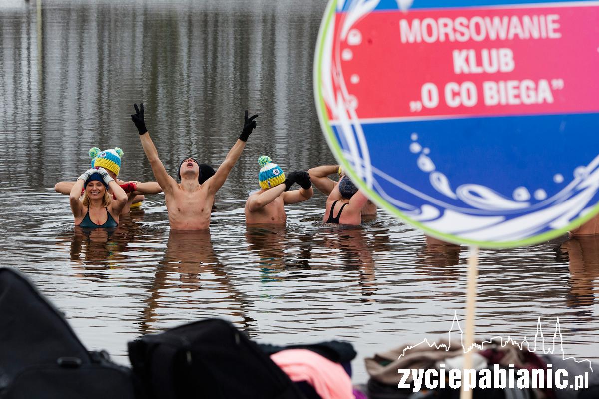 Spadł pierwszy śnieg. Morsy świętują na lewitynie