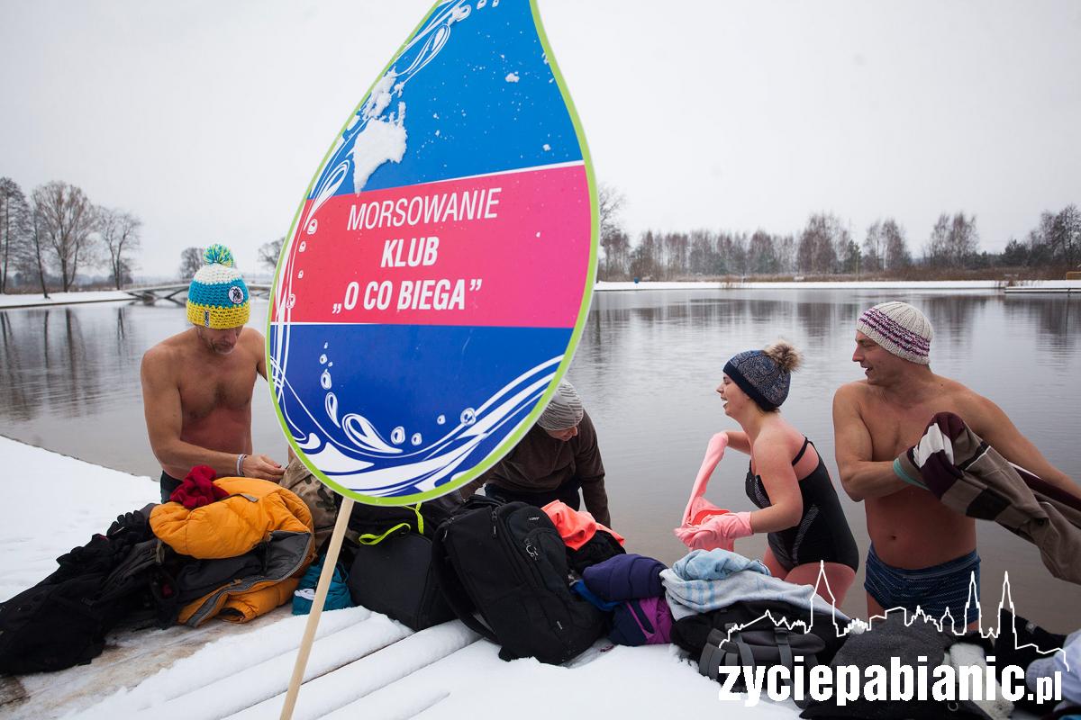Spadł pierwszy śnieg. Morsy świętują na lewitynie