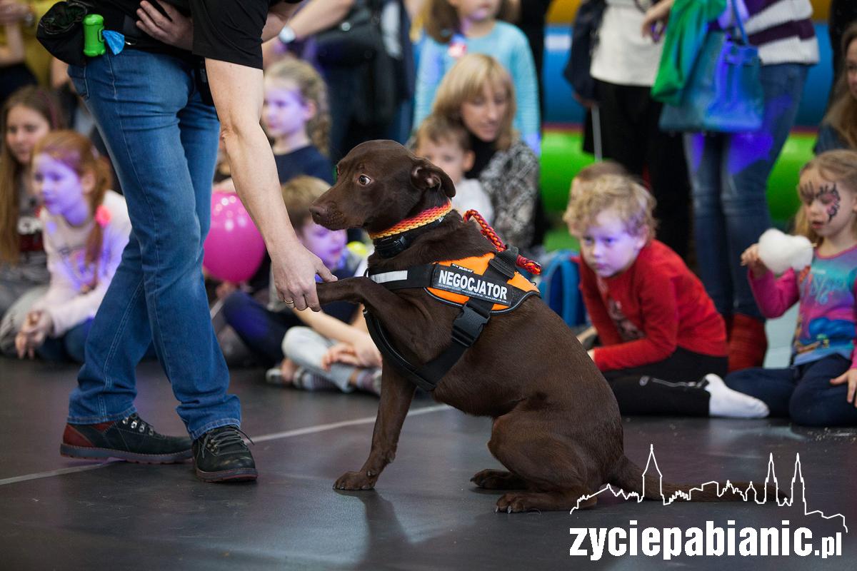 WOŚP 2019: Festyn Dzieci – Dzieciom