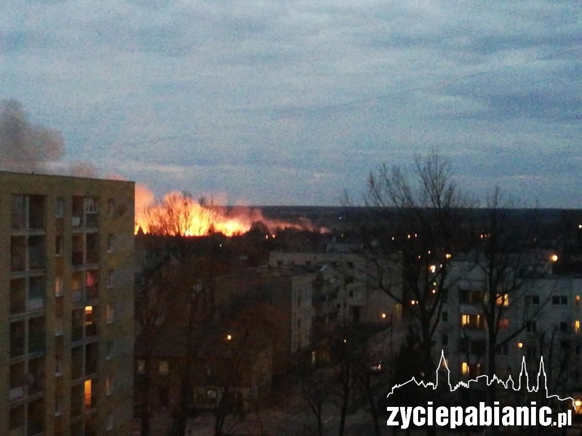 7 hektarów w ogniu