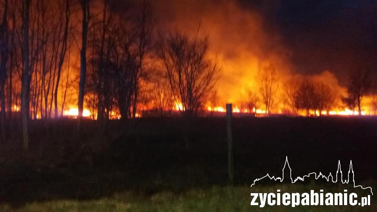 7 hektarów w ogniu