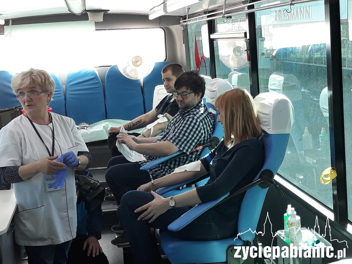 Czekoladowy zajączek za krew