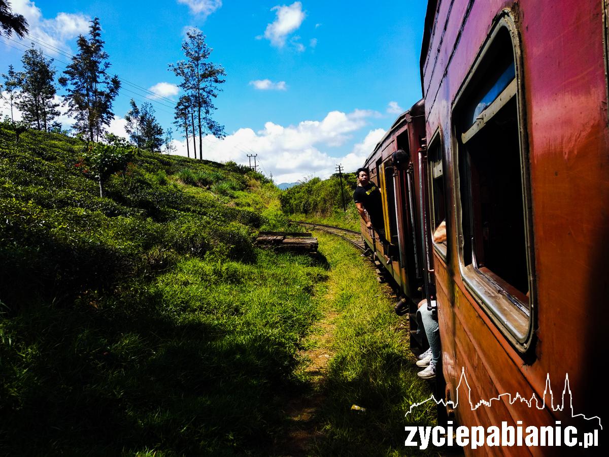 W podróż poślubną pojechali do Sri Lanki