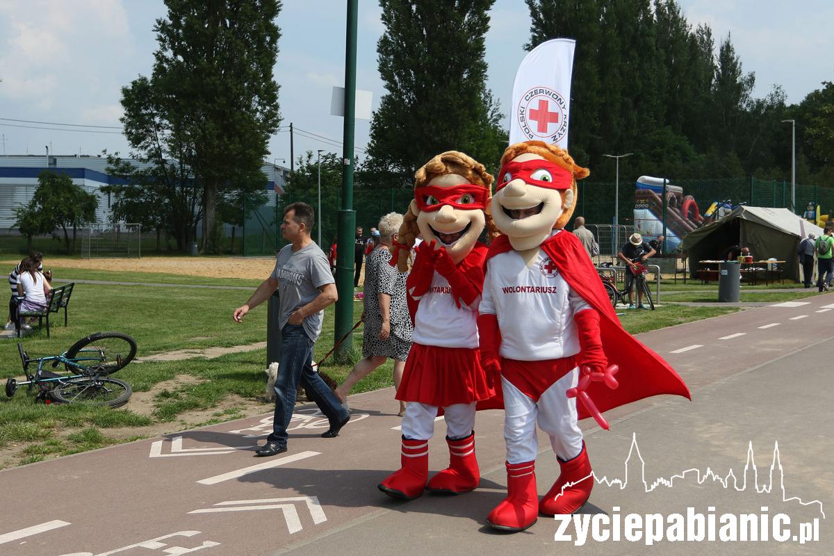 Piknik rodzinny PCK na Lewitynie
