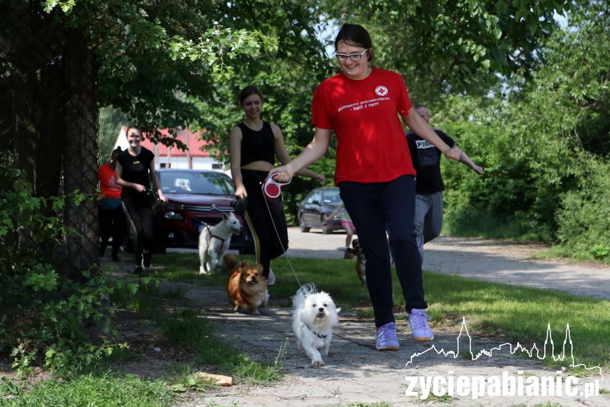 Piknik rodzinny PCK na Lewitynie