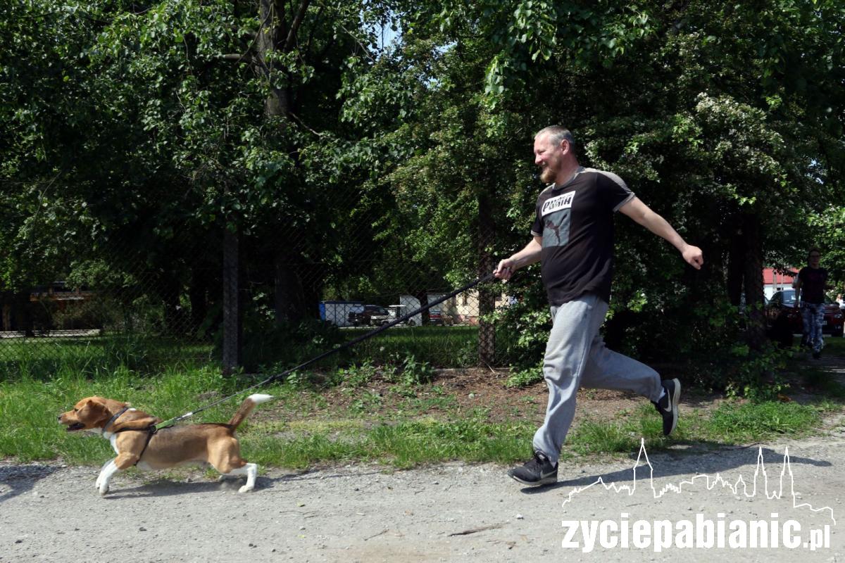 Piknik rodzinny PCK na Lewitynie