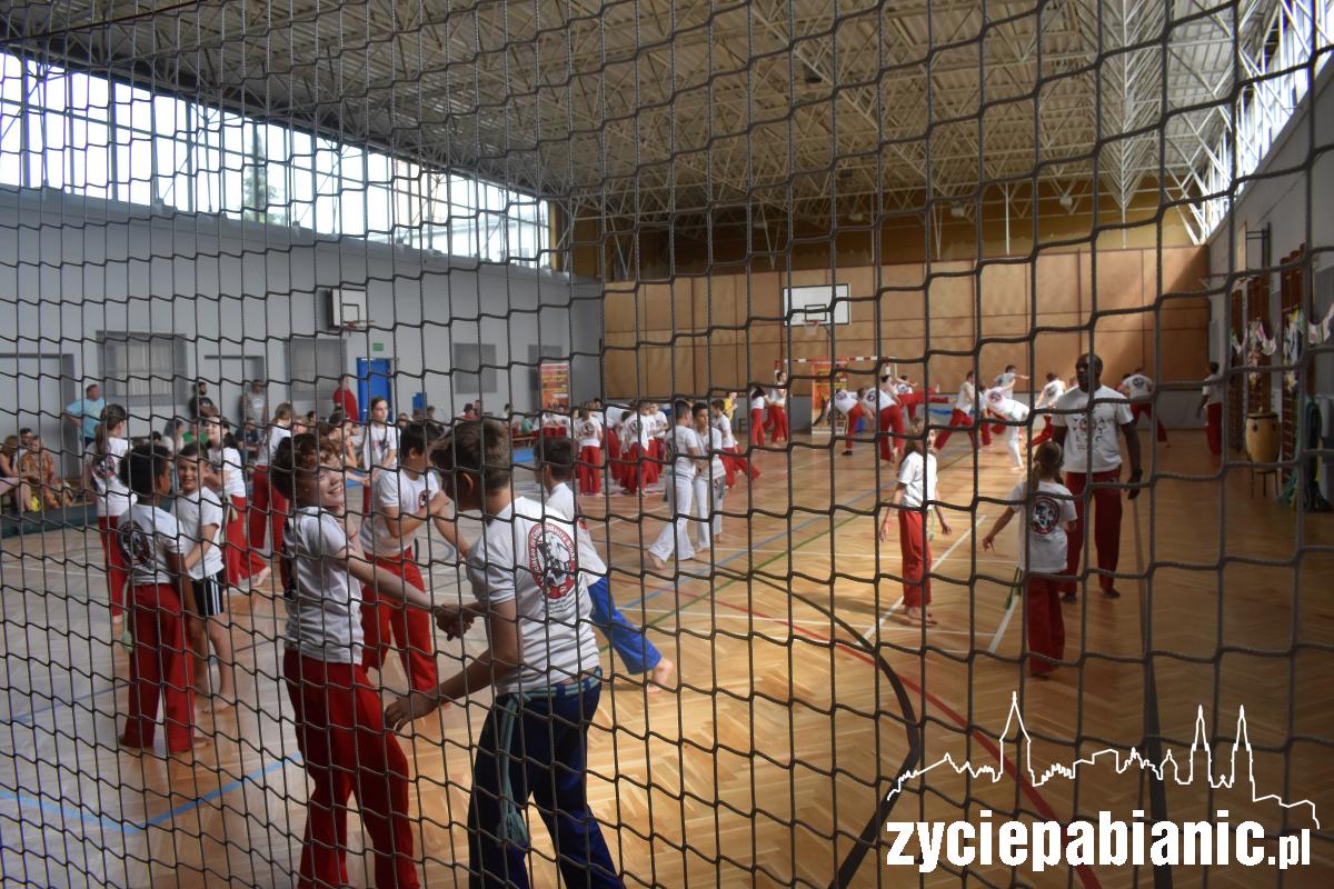 Święto Capoeiry w Pabianicach