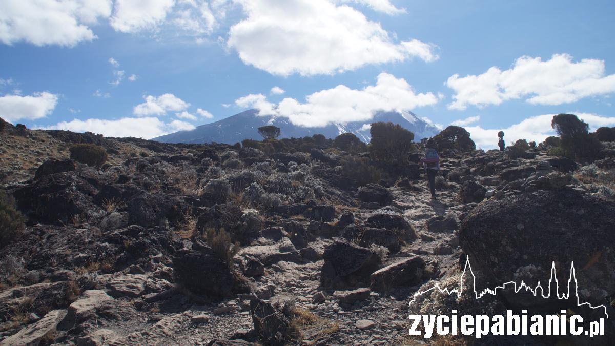 Jak jest na 5.895 m n.p.m.? Opowie nam Sławomir