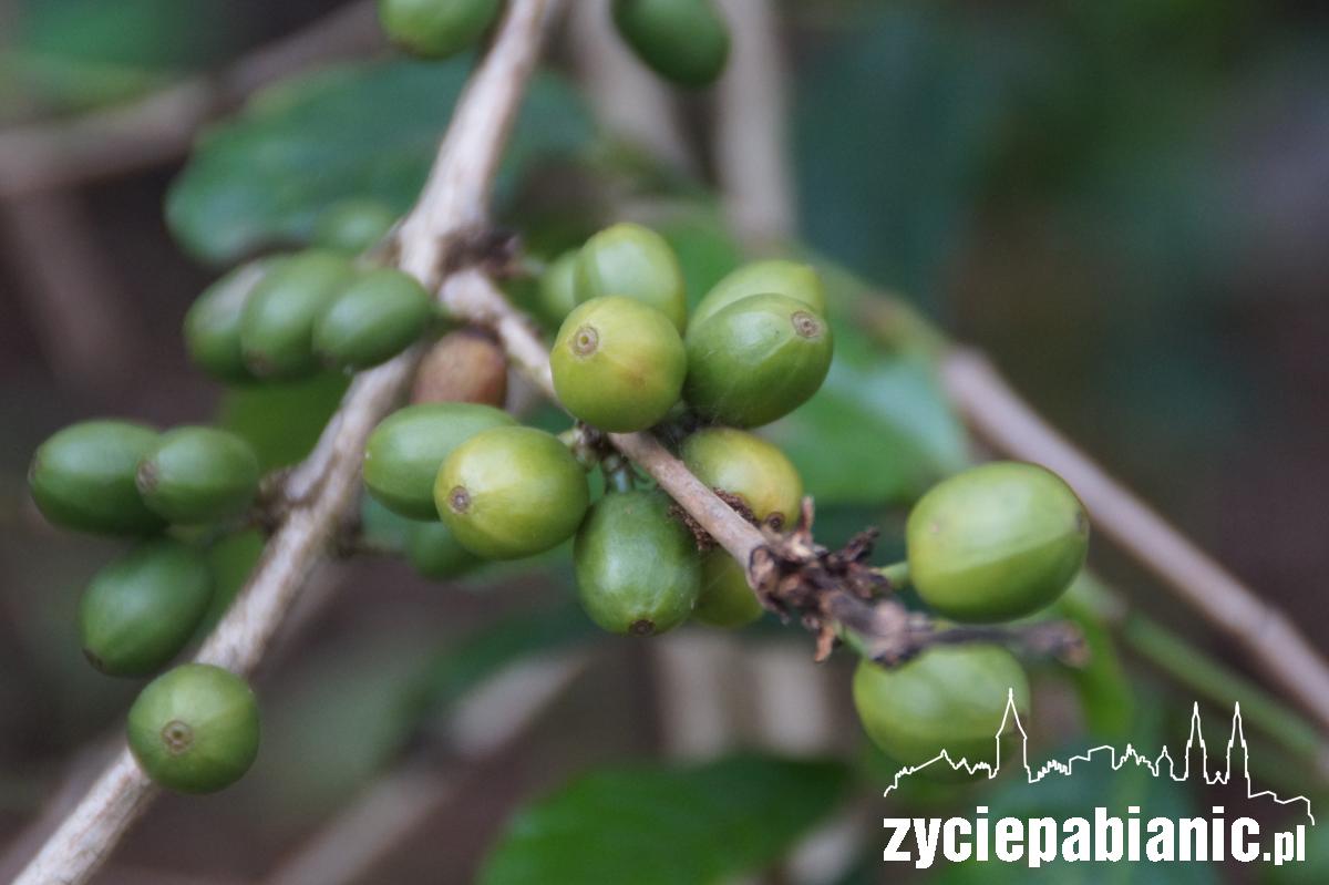 Jak jest na 5.895 m n.p.m.? Opowie nam Sławomir