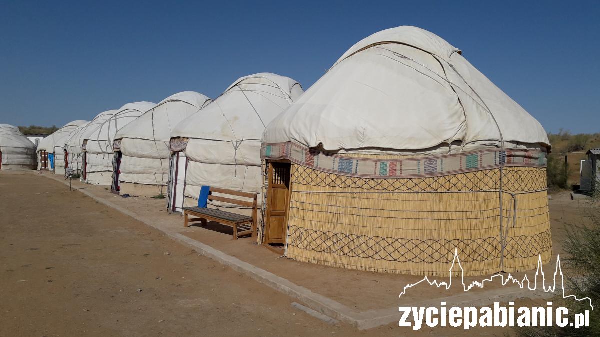 Ona widziała śpiewającą wydmę i zatopiony las