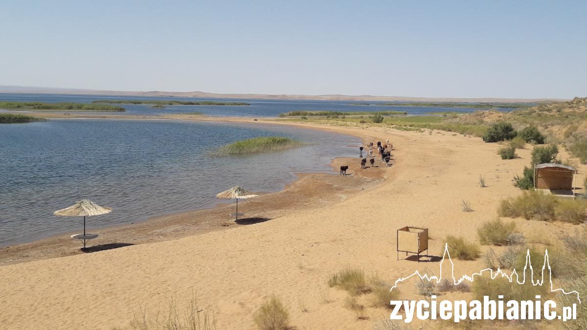 Ona widziała śpiewającą wydmę i zatopiony las