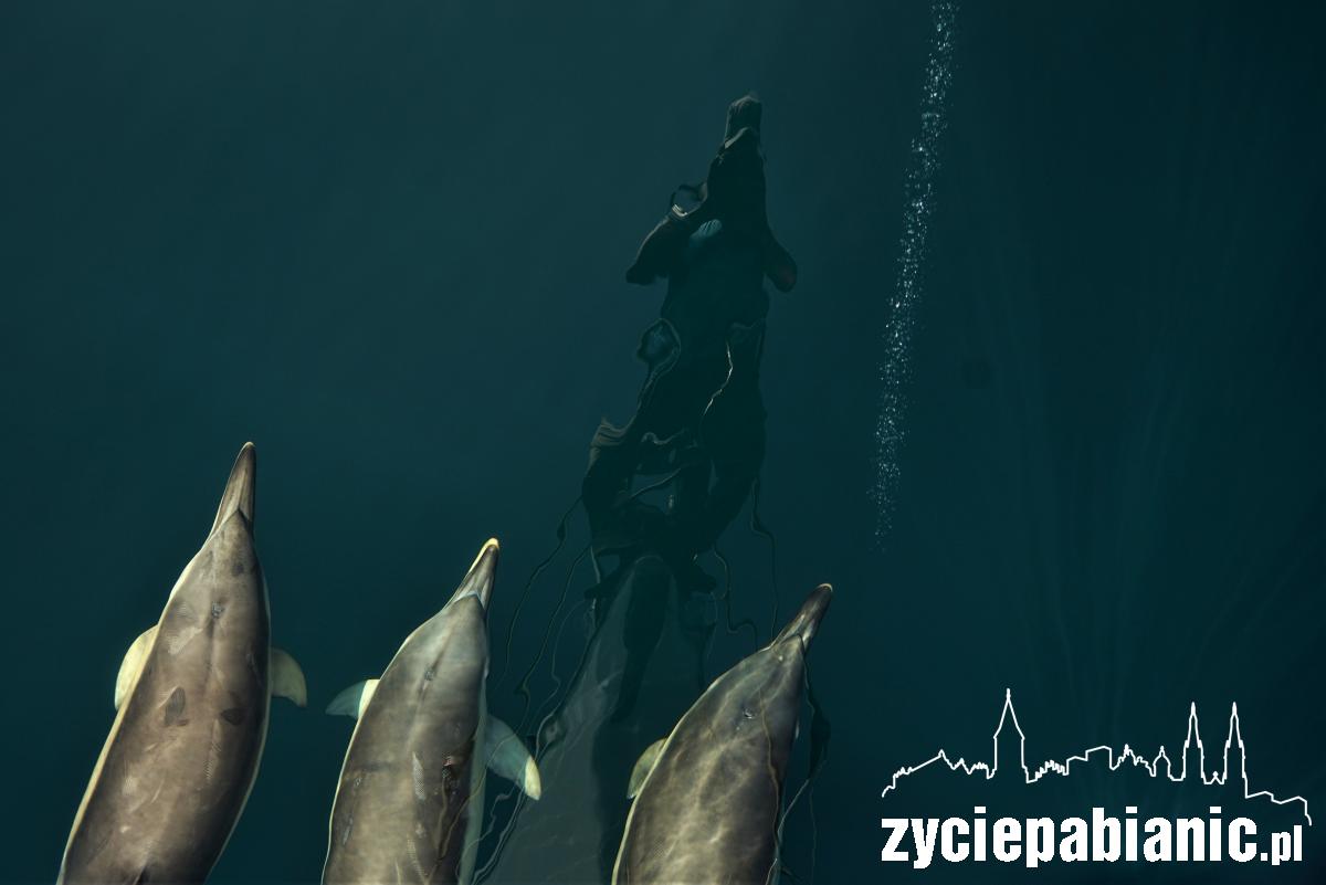 Odwiedzi nas znany podróżnik