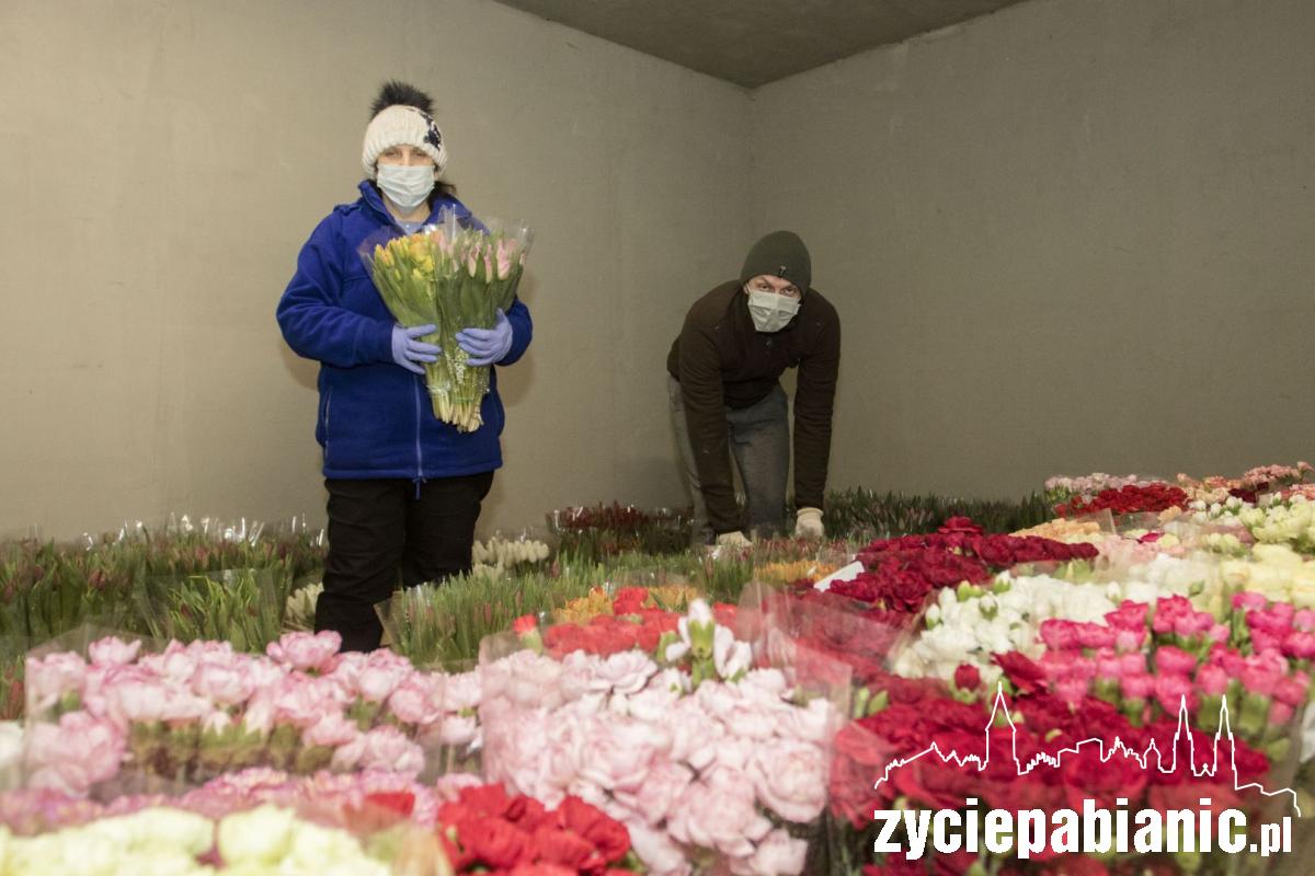 Jak wyrzucić 100.000 tulipanów?
