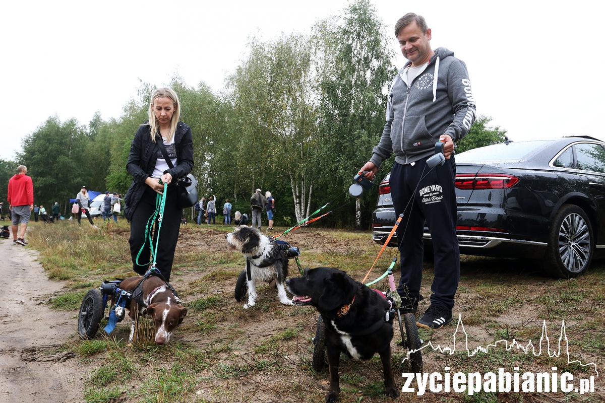 Zlot adoptowanych psów - PSIjaciel_4U_Pabianice