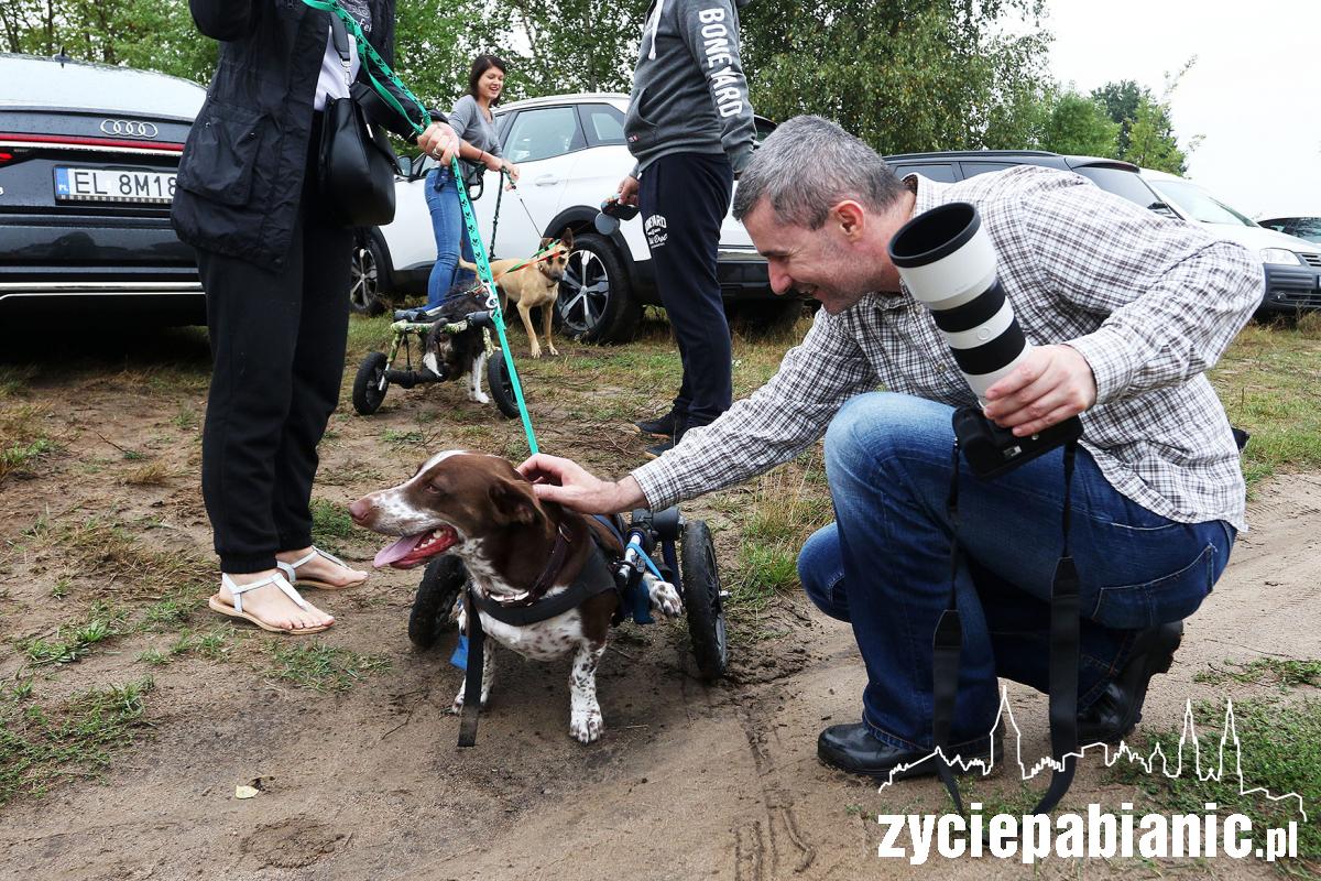 Zlot adoptowanych psów - PSIjaciel_4U_Pabianice