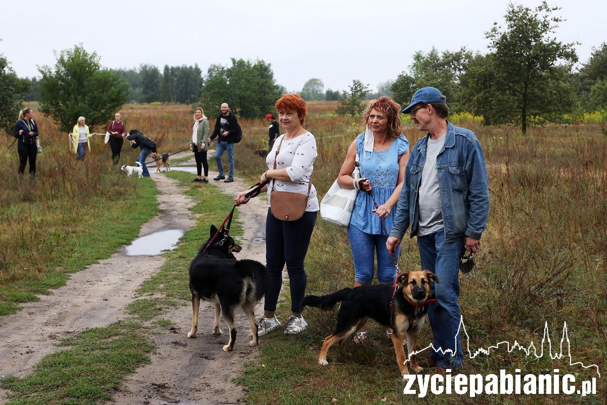 Zlot adoptowanych psów - PSIjaciel_4U_Pabianice