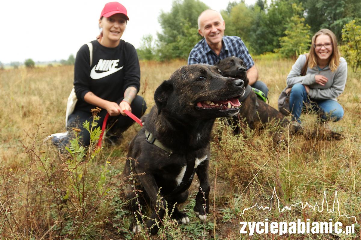 Zlot adoptowanych psów - PSIjaciel_4U_Pabianice