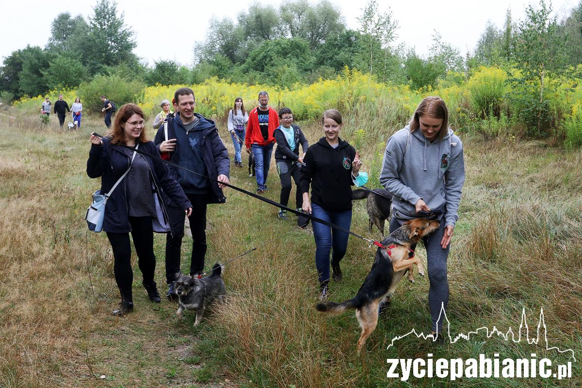 Zlot adoptowanych psów - PSIjaciel_4U_Pabianice