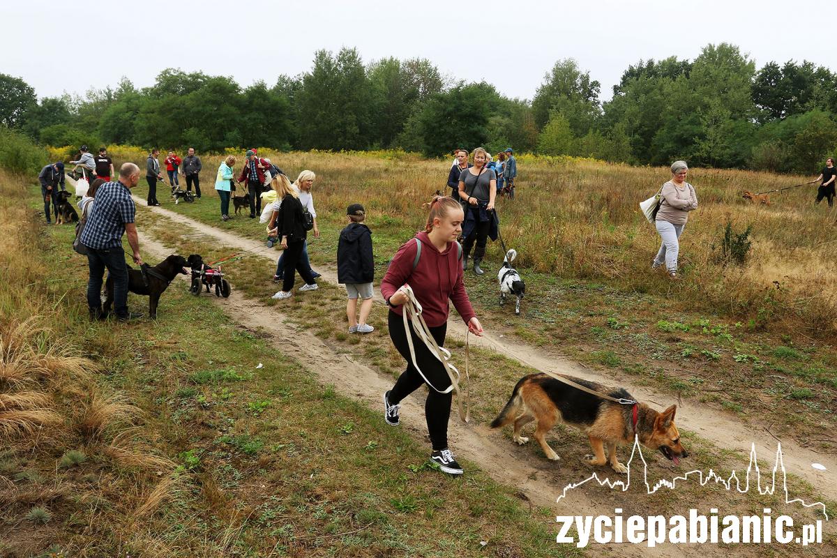 Zlot adoptowanych psów - PSIjaciel_4U_Pabianice
