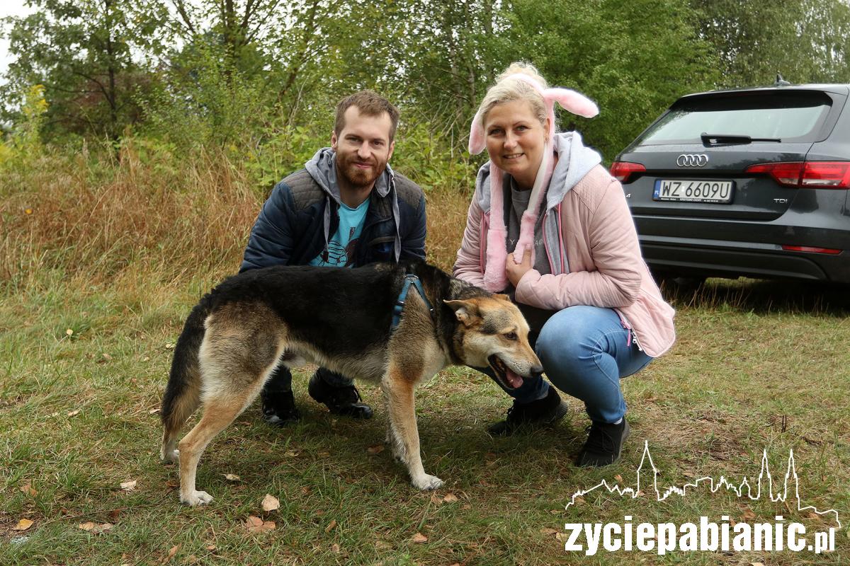 Zlot adoptowanych psów - PSIjaciel_4U_Pabianice