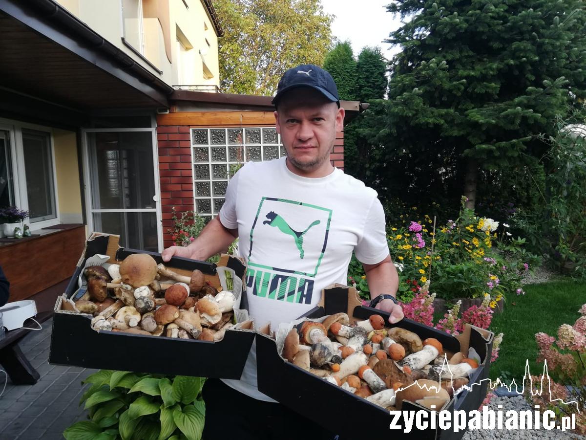 Gdzie rosną taaaakie grzyby?