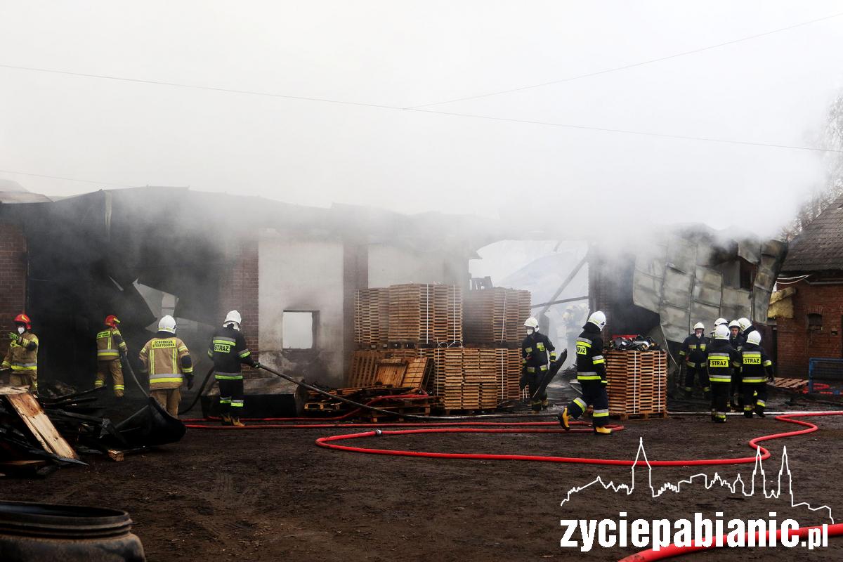 Strażacy walczą z pożarem zakładu