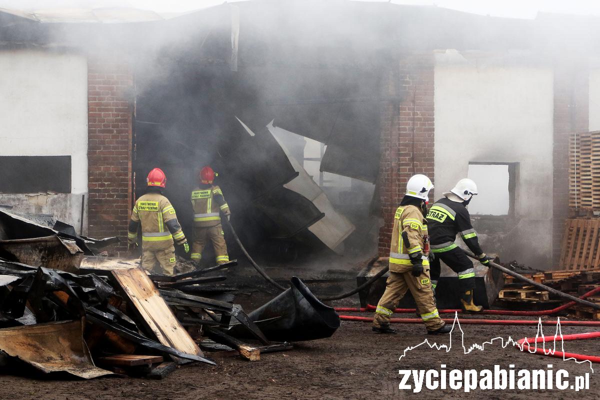 Strażacy walczą z pożarem zakładu