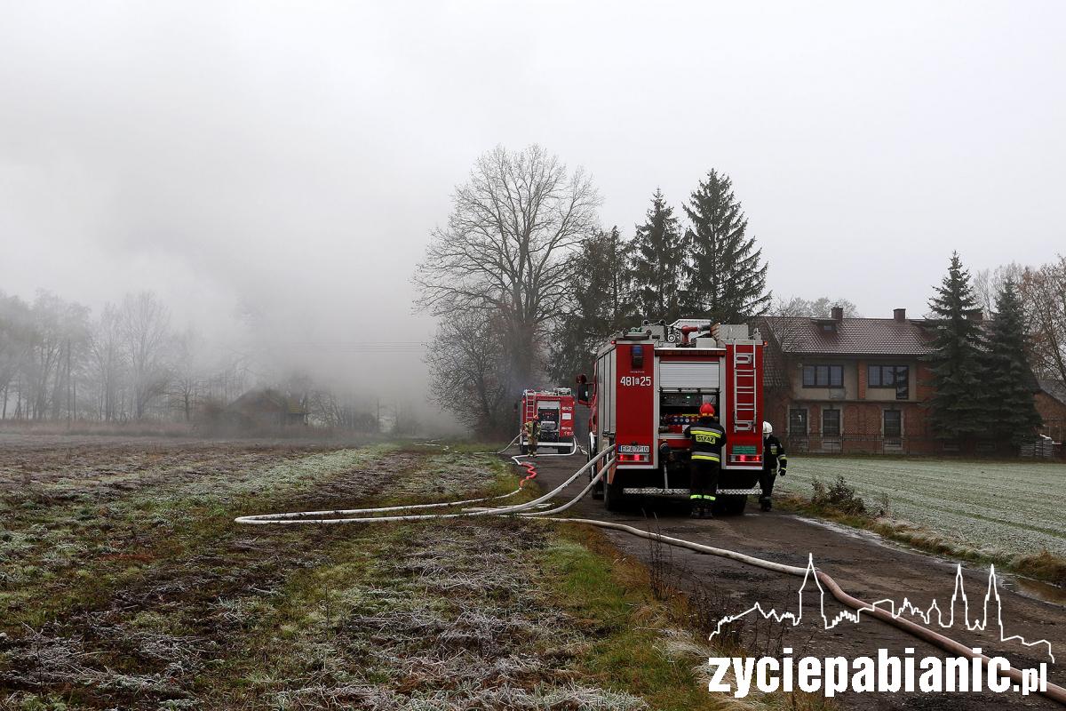 Strażacy walczą z pożarem zakładu