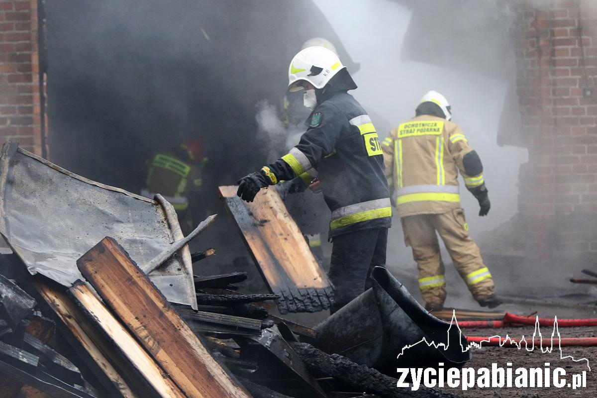 Strażacy walczą z pożarem zakładu