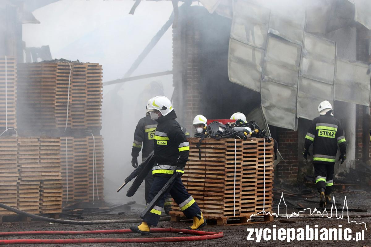 Strażacy walczą z pożarem zakładu